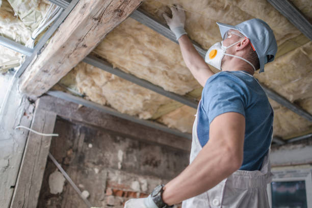 Best Eco-Friendly Insulation in Jefferson City, TN